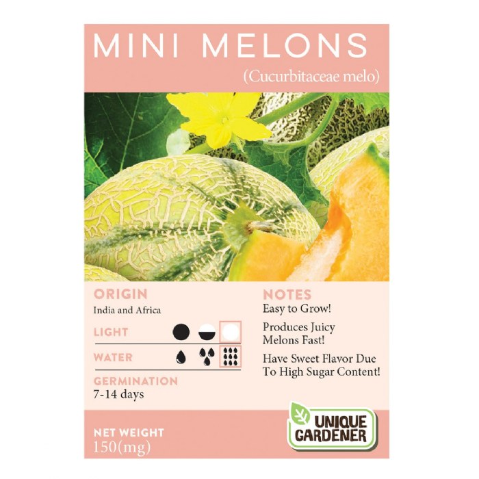Alternate Image #1 of Cantaloupe 3-Pack