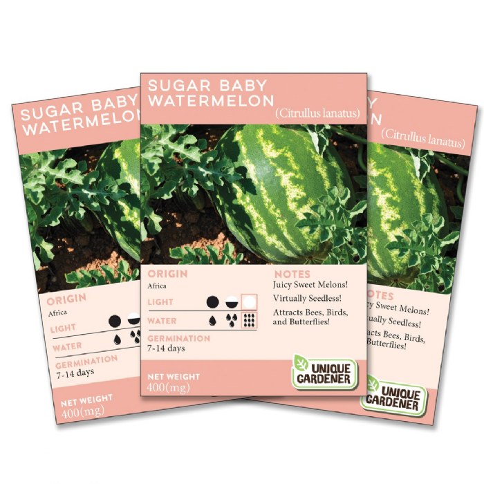 Primary Image of Sugar Baby Watermelon 3-Pack