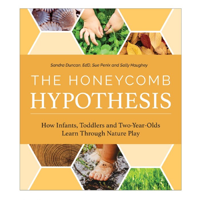Primary Image of The Honeycomb Hypothesis: How Infants, Toddlers and Two-Year-Olds Learn Through Nature Play