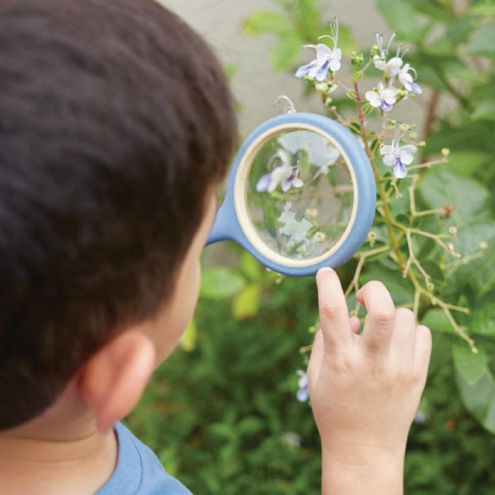 Alternate Image #1 of All-Weather Magnifying Glass - Set of 4