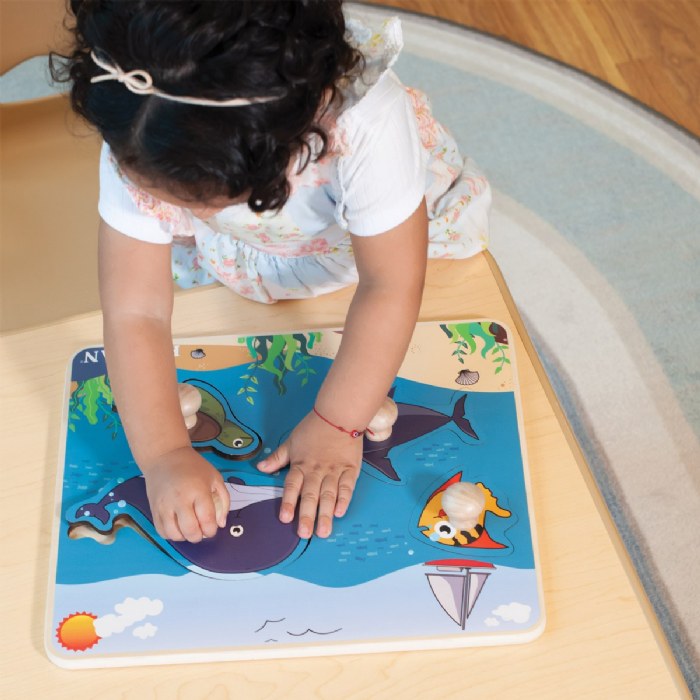 Alternate Image #1 of Kaplan Jumbo Knob Puzzles - Set of 7