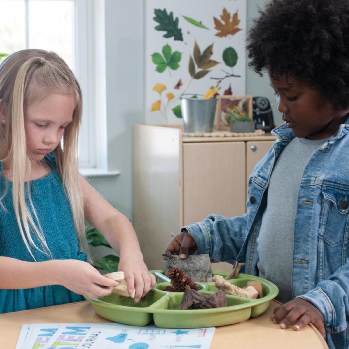 Alternate Image #1 of Loose Parts Sorting Trays - Set of 4 - Earth-toned