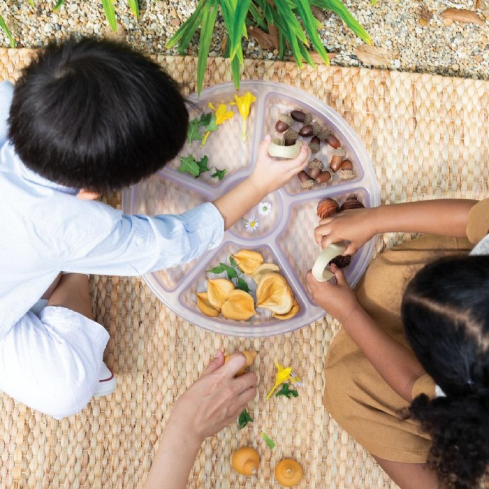 Alternate Image #1 of Loose Parts Sorting Trays - Set of 4 - Clear