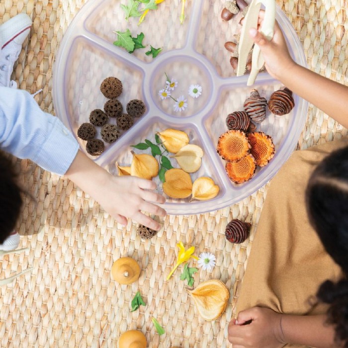 Alternate Image #1 of Loose Parts Sorting Trays - Set of 4 - Clear