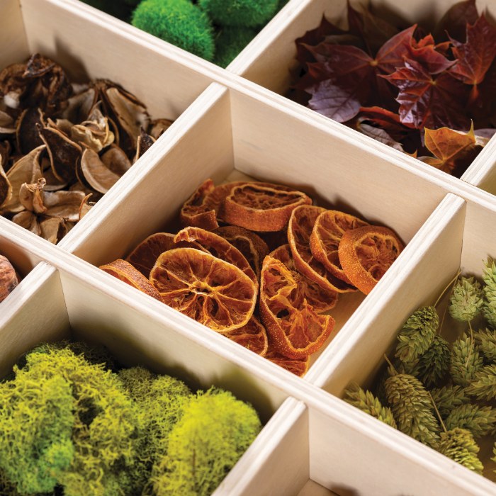 Alternate Image #1 of Loose Parts Stacking Wooden Trays - 4 Pieces
