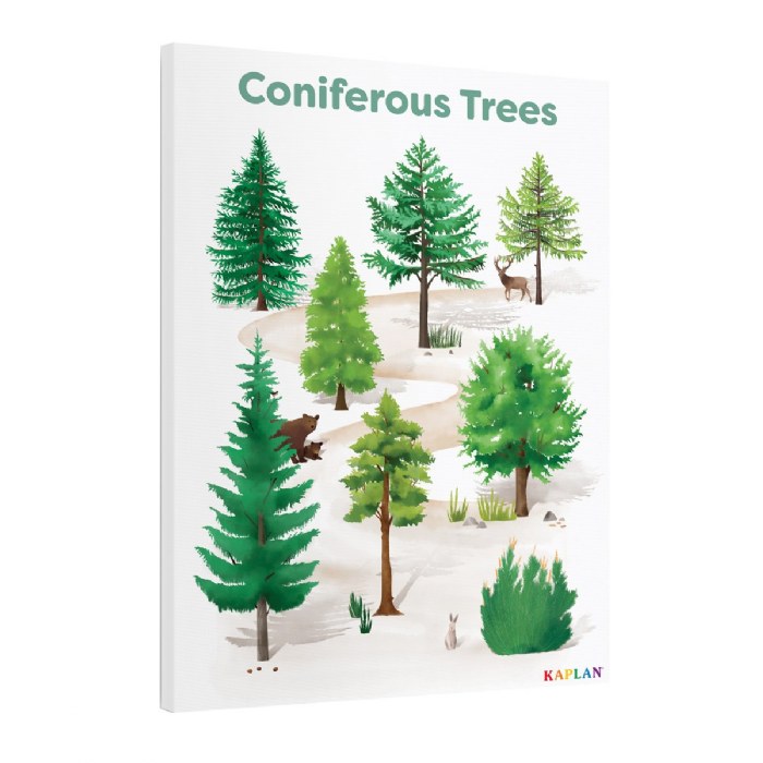 Alternate Image #1 of Coniferous Tree Giclee Classroom Wall Print