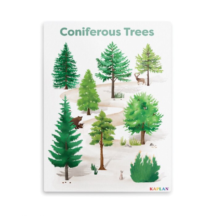Primary Image of Coniferous Tree Giclee Classroom Wall Print