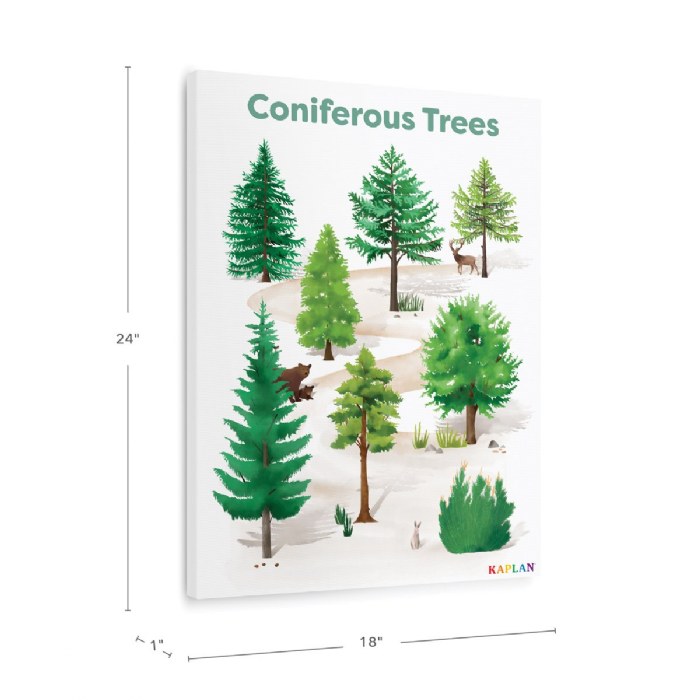 Alternate Image #1 of Coniferous Tree Giclee Classroom Wall Print