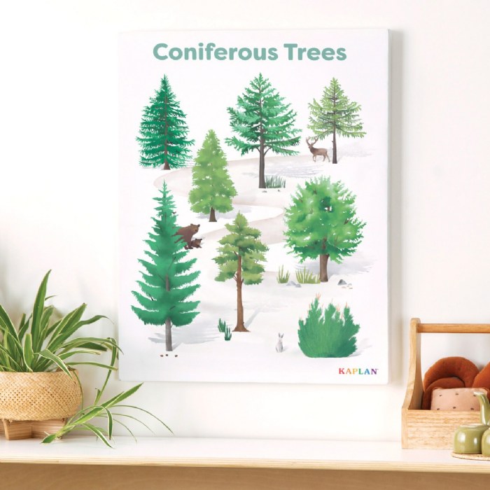 Alternate Image #1 of Coniferous Tree Giclee Classroom Wall Print