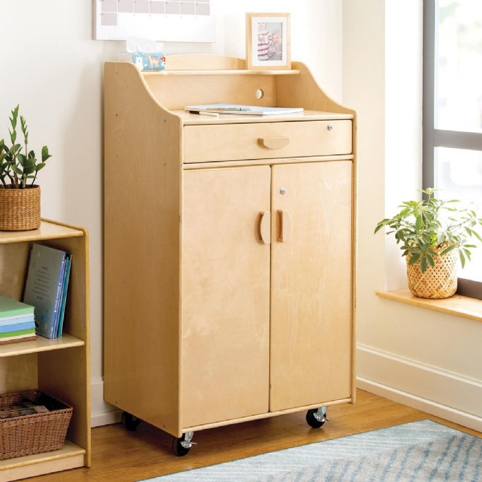 Alternate Image #1 of Carolina All-in-One Teacher Storage - Factory Second