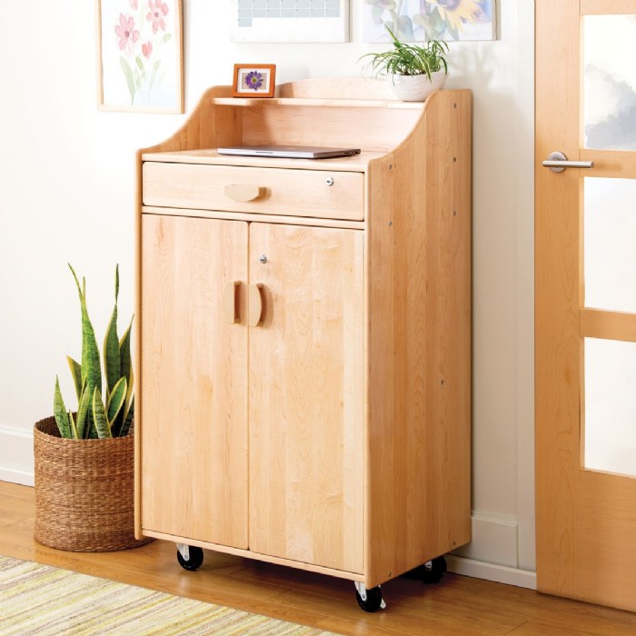 Alternate Image #1 of Maple All-in-One Teacher Storage