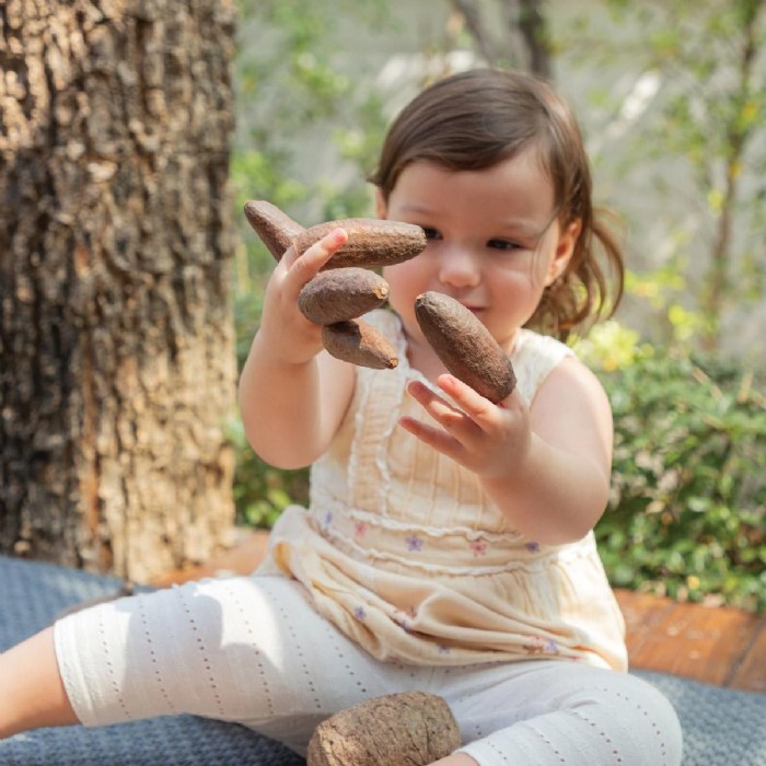 Alternate Image #1 of Nature's Geometry: Toddler Loose Parts STEM Kit - 62 Pieces
