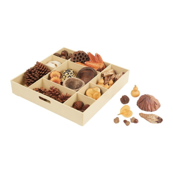 Alternate Image #1 of Nature's Geometry: Loose Parts STEM Kit - 80 Pieces