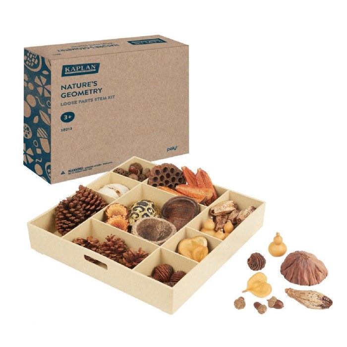 Primary Image of Nature's Geometry: Loose Parts STEM Kit - 80 Pieces