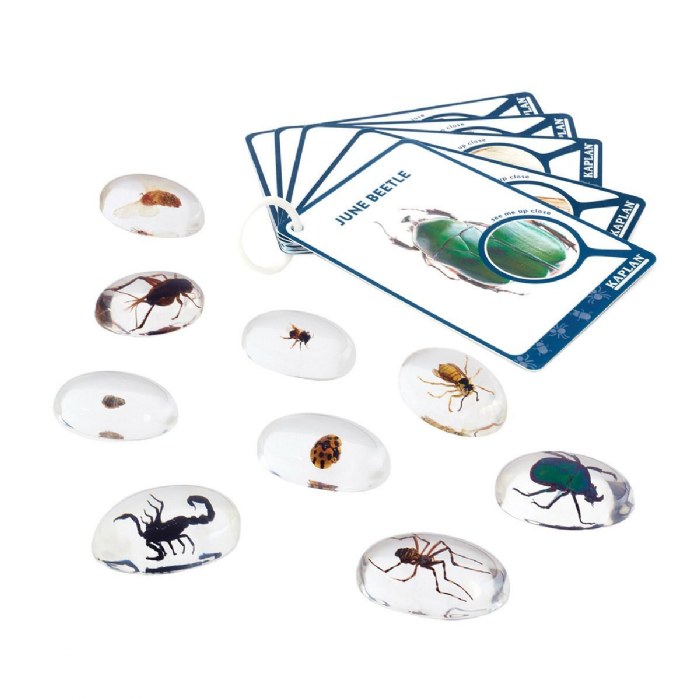 Alternate Image #1 of Specimen Stones: Bugs - 9 Stones