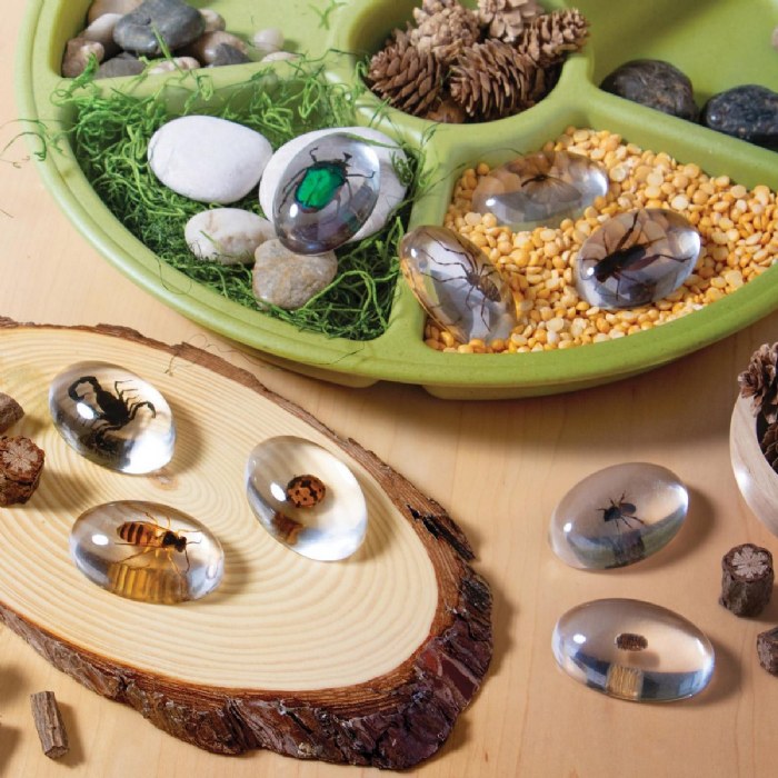 Alternate Image #1 of Specimen Stones: Bugs - 9 Stones