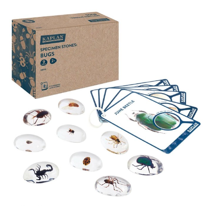 Primary Image of Specimen Stones: Bugs - 9 Stones