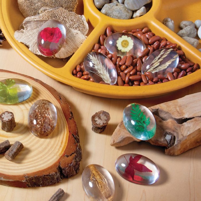 Alternate Image #1 of Specimen Stones: Plants - 9 Stones