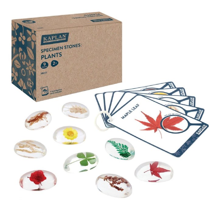 Primary Image of Specimen Stones: Plants - 9 Stones