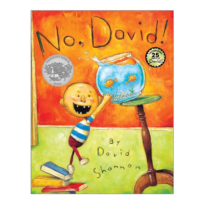 Primary Image of No David! - Hardback