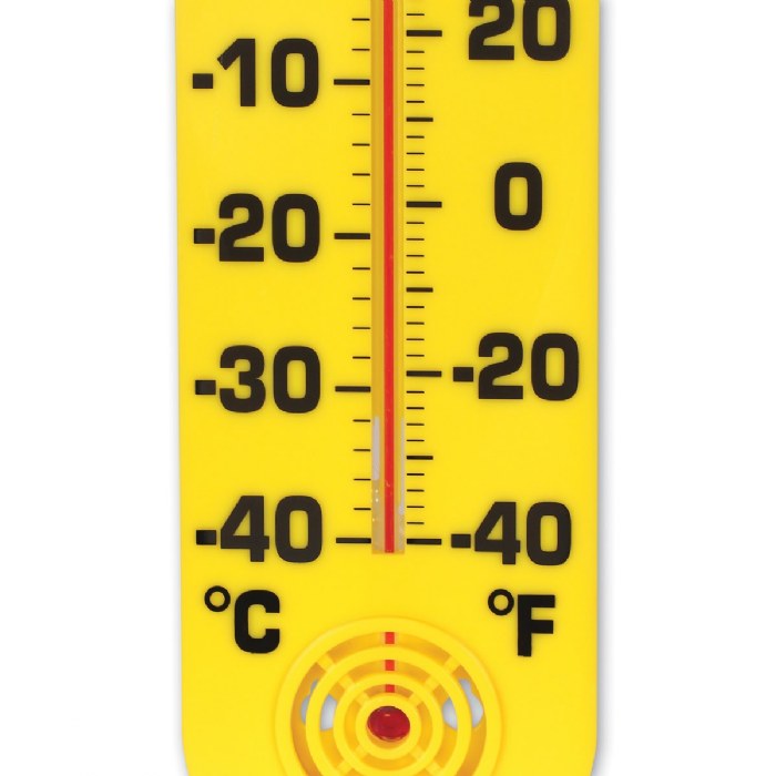Alternate Image #1 of Classroom Thermometer