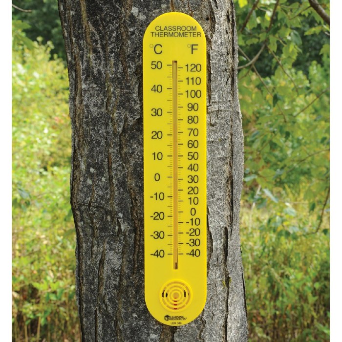 Alternate Image #1 of Classroom Thermometer