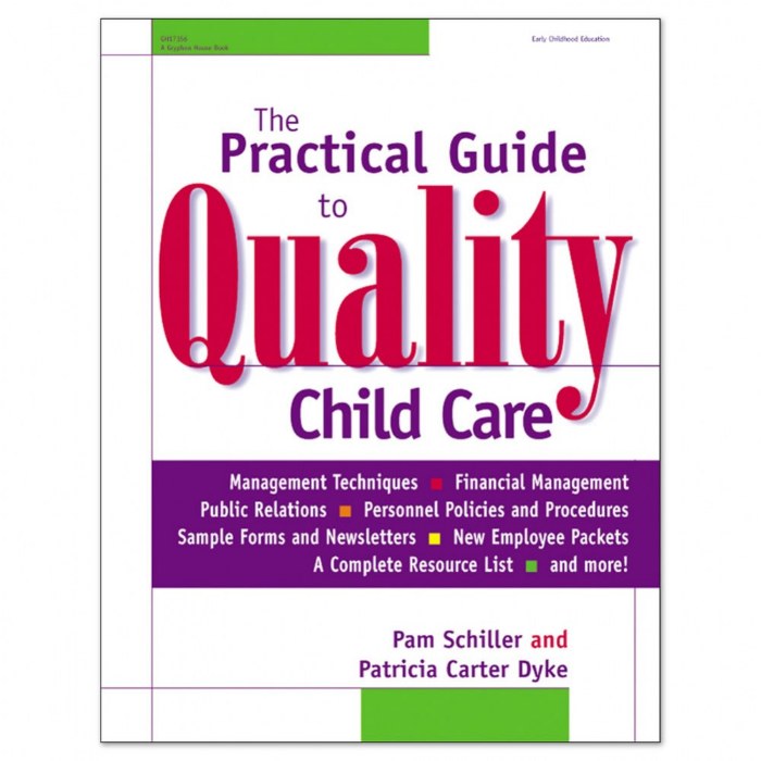Primary Image of The Practical Guide to Quality Child Care - Paperback
