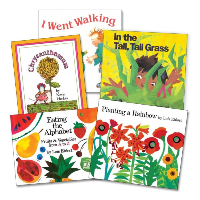 Primary Image of Big Book Starter Set - Set of 5