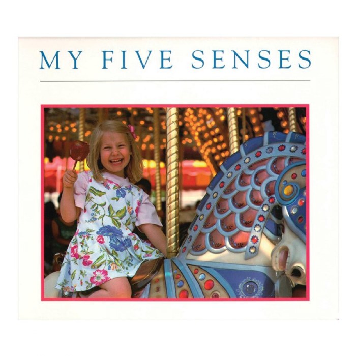 Primary Image of My Five Senses - Paperback