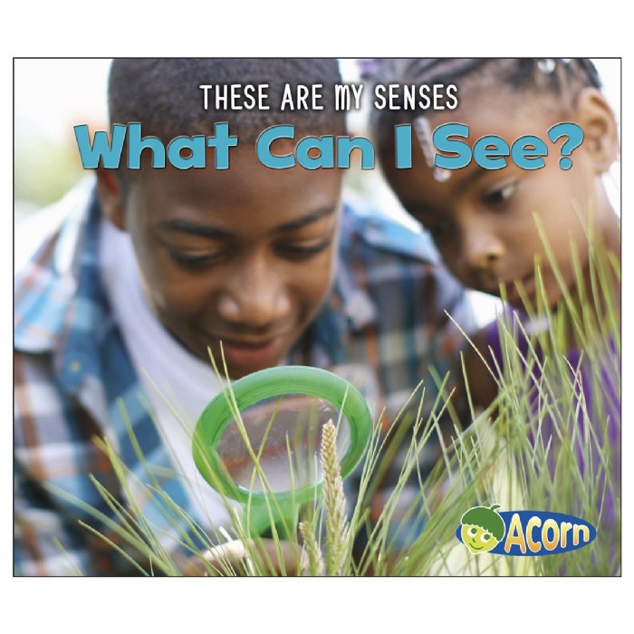 Alternate Image #1 of These Are My Senses Books - Set of 5