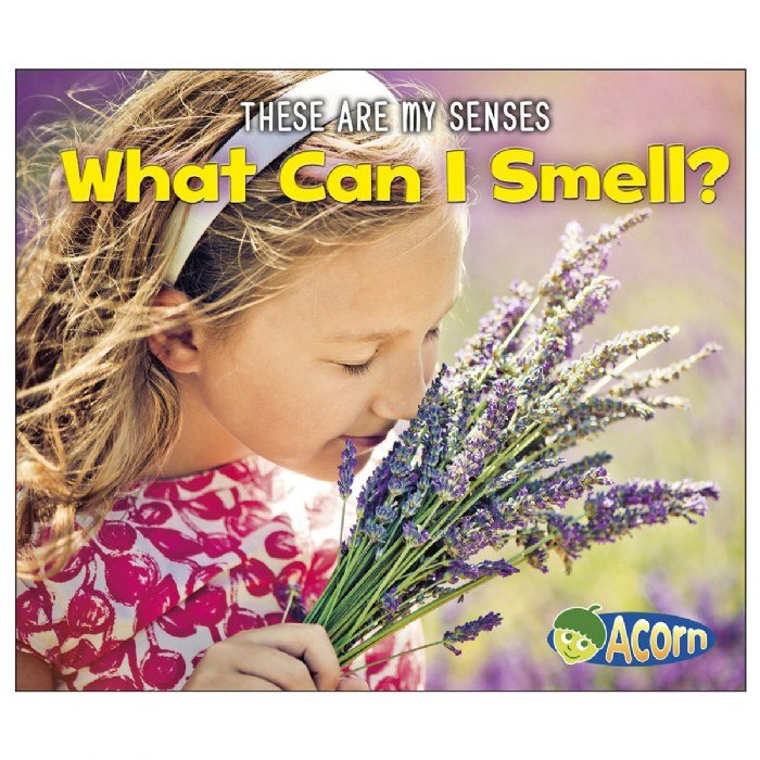 Alternate Image #1 of These Are My Senses Books - Set of 5