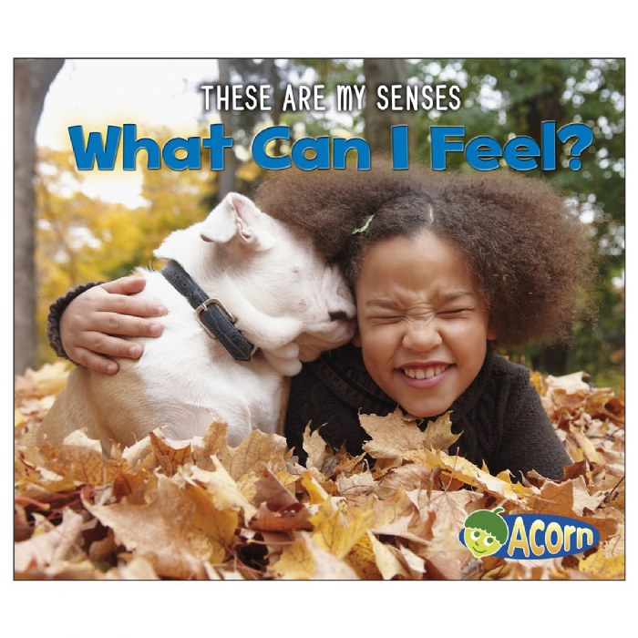 Alternate Image #1 of These Are My Senses Books - Set of 5