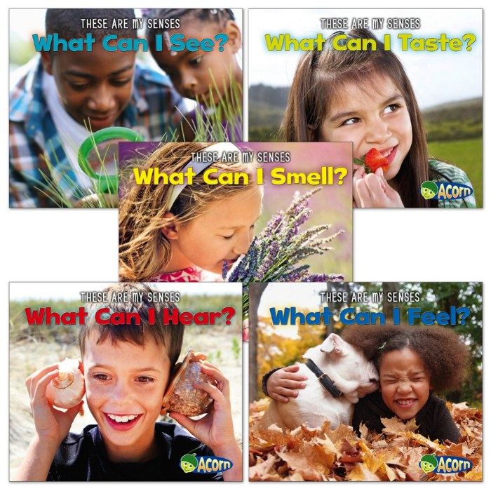 Primary Image of These Are My Senses Books - Set of 5