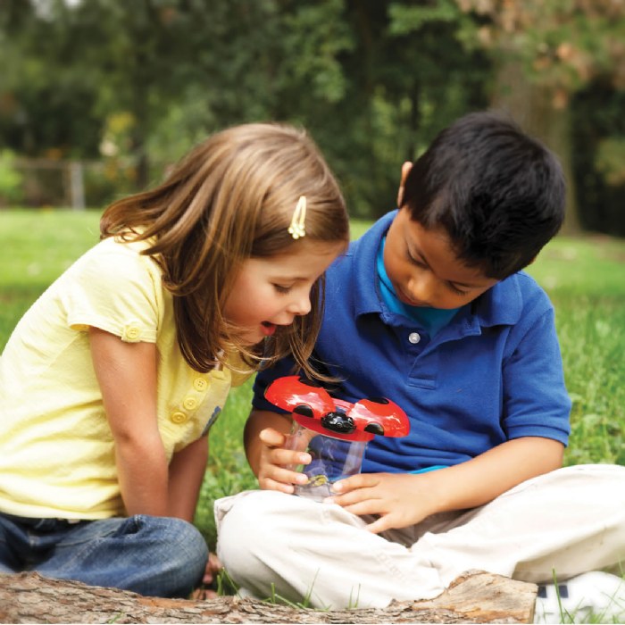 Alternate Image #1 of Big View Bug Observation Jars