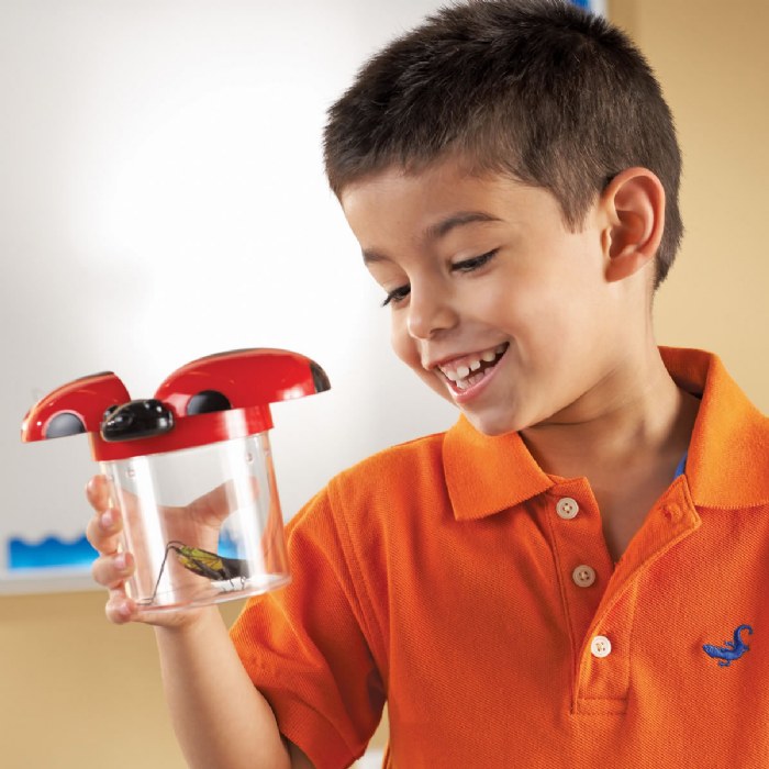 Alternate Image #1 of Big View Bug Observation Jars