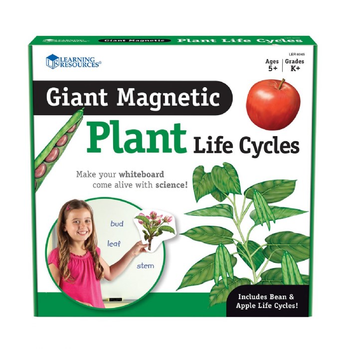 Alternate Image #1 of Giant Magnetic Plant Life Cycle