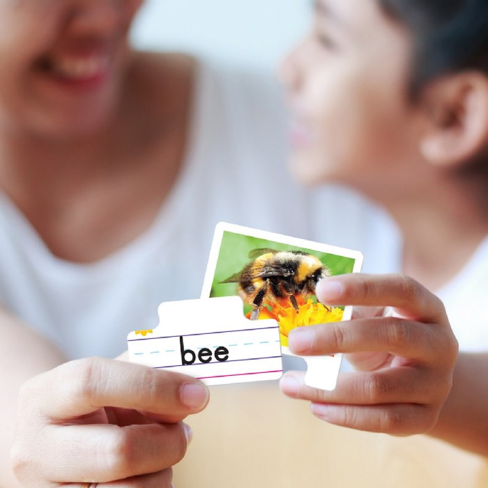 Alternate Image #1 of Big Box of Easy to Read Words