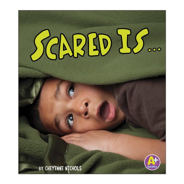 Alternate Image #1 of Know Your Emotions Book - Set of 4