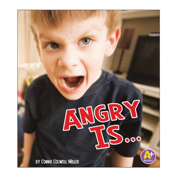 Alternate Image #1 of Know Your Emotions Book - Set of 4