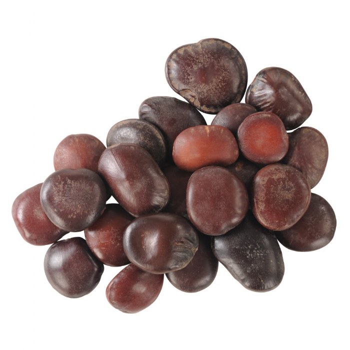 Alternate Image #1 of Sea Beans Loose Parts - 2 lb Bag