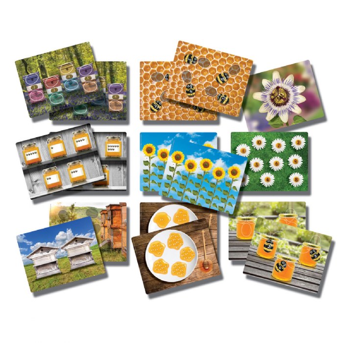 Alternate Image #1 of Honey Bee Stones and Activity Cards