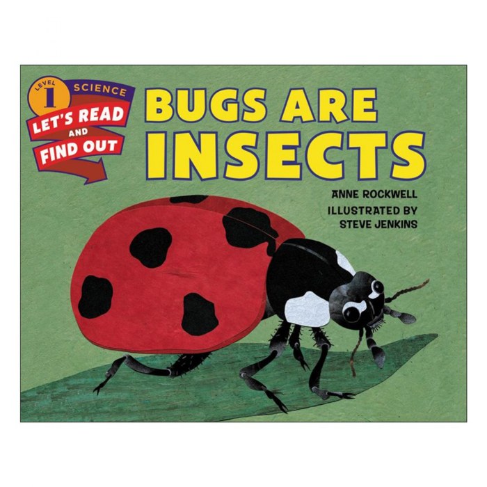 Primary Image of Bugs Are Insects - Paperback