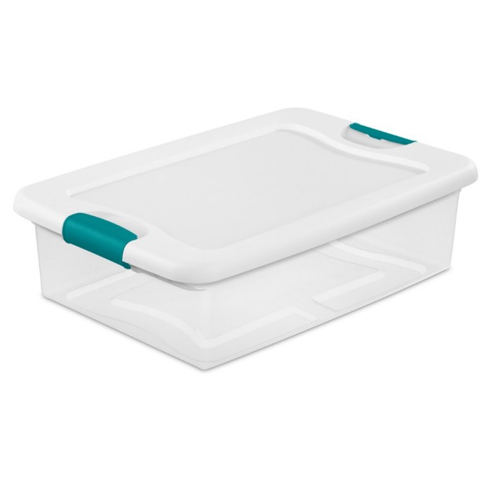 Primary Image of 32 Quart Storage Container