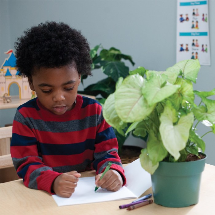 Alternate Image #1 of Standard Crayons Class Pack - 800 Per Box in 8 Different Colors