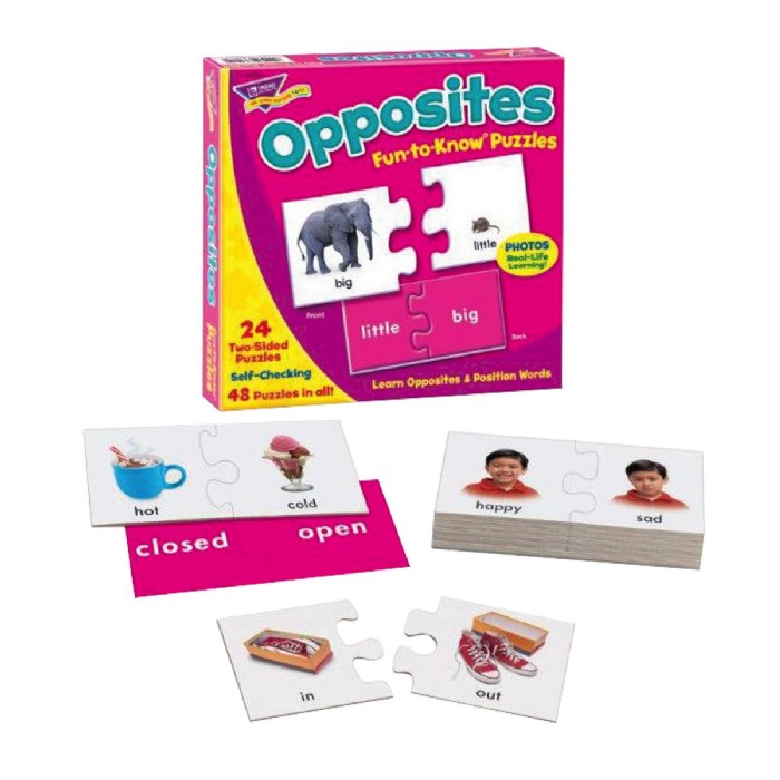 Primary Image of Opposites Fun-to-Know&reg; Puzzles