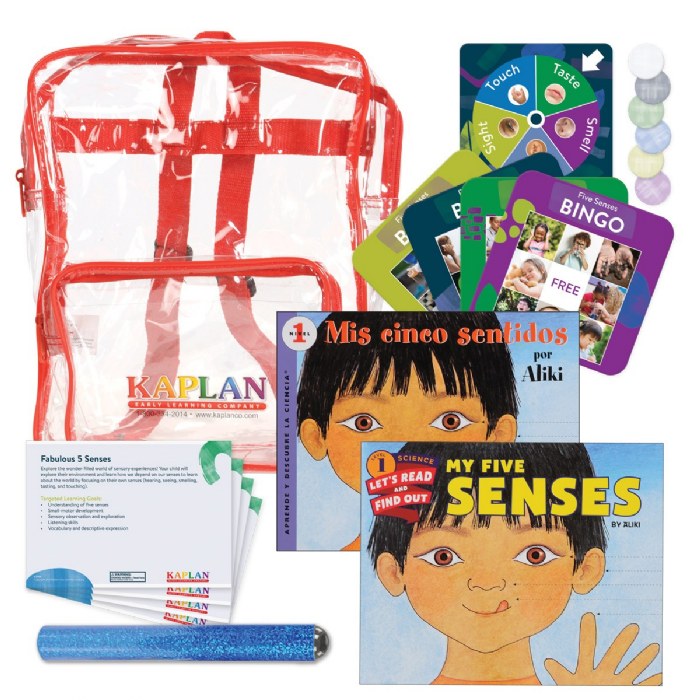 Primary Image of Fabulous Five Senses Backpack Kit - Bilingual