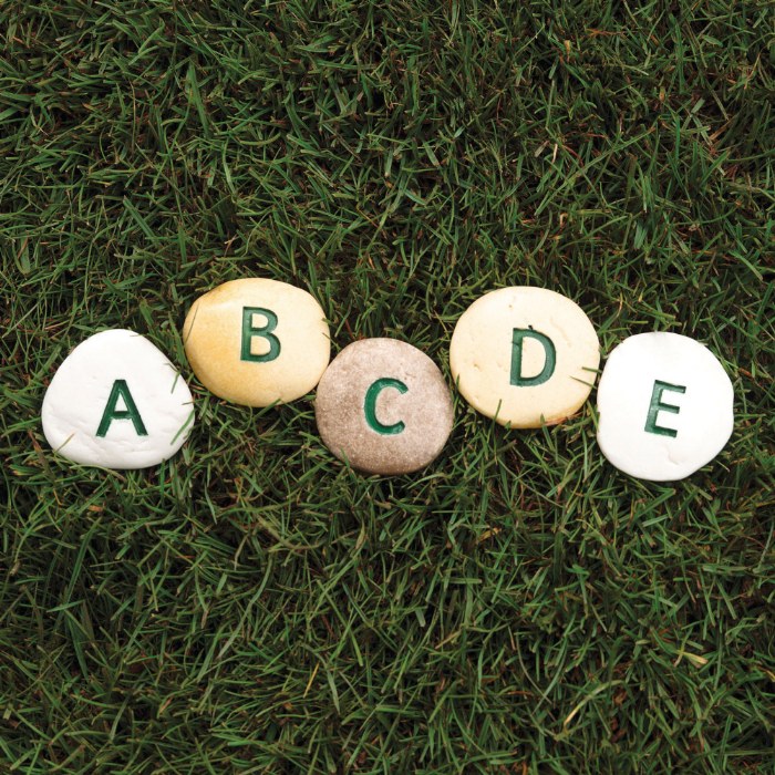 Alternate Image #1 of Uppercase Alphabet Pebbles