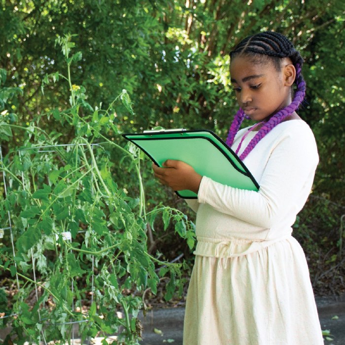 Alternate Image #1 of Outdoor Clipboards - Set of 3