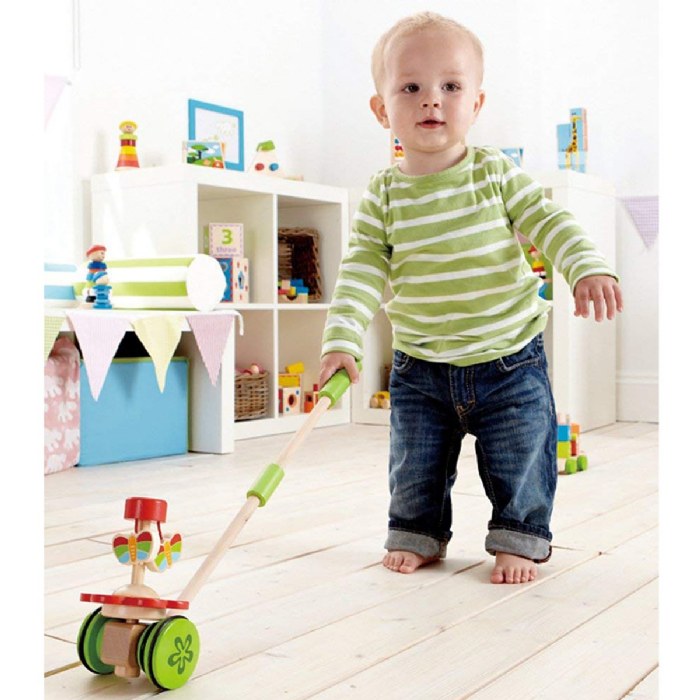 Alternate Image #1 of Garden Push Pal