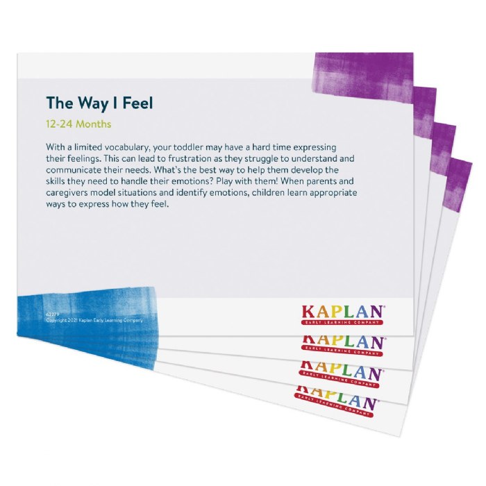 Alternate Image #1 of The Way I Feel Learning Kit - Bilingual